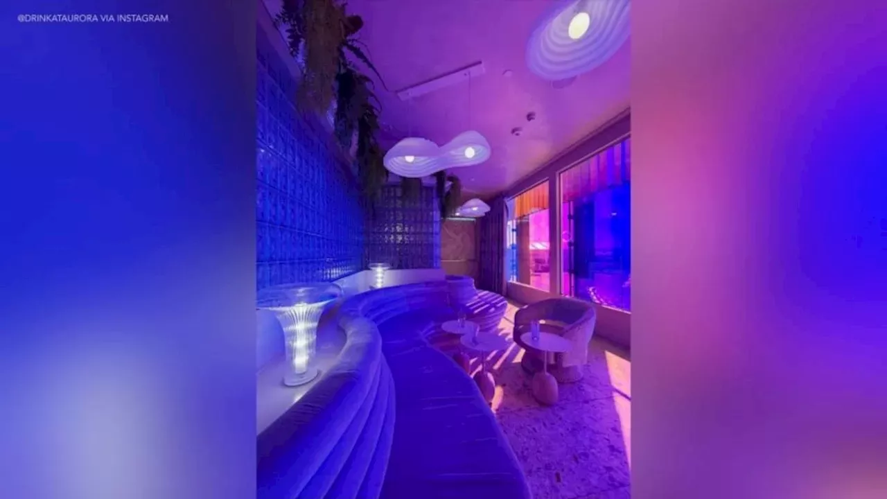 Beyond the Boarding Gate: The Rise of Hidden Speakeasies in US Airports