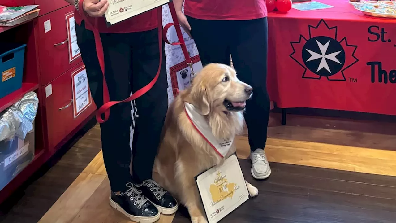 A Thousand Smiles: Mulligan Makes History in Southwestern Ontario
