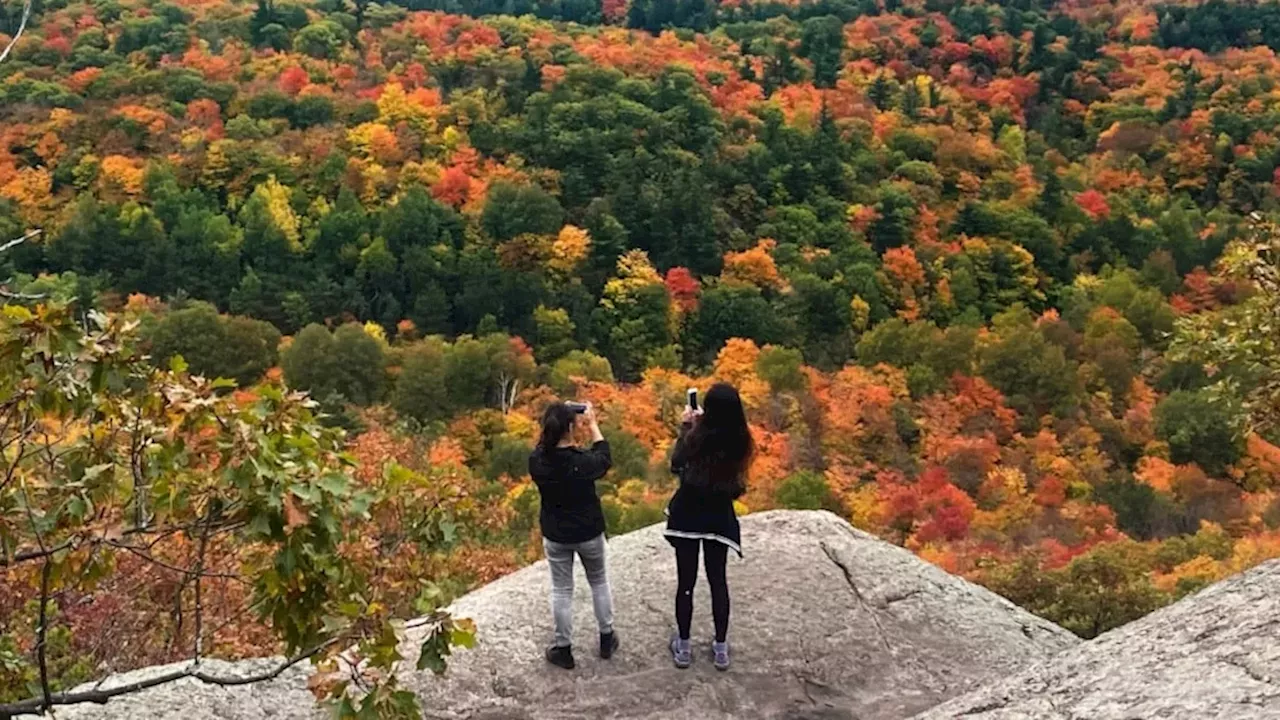 Ottawa's Thanksgiving Weekend: From NHL Hockey to Spooky Harvest Festivals
