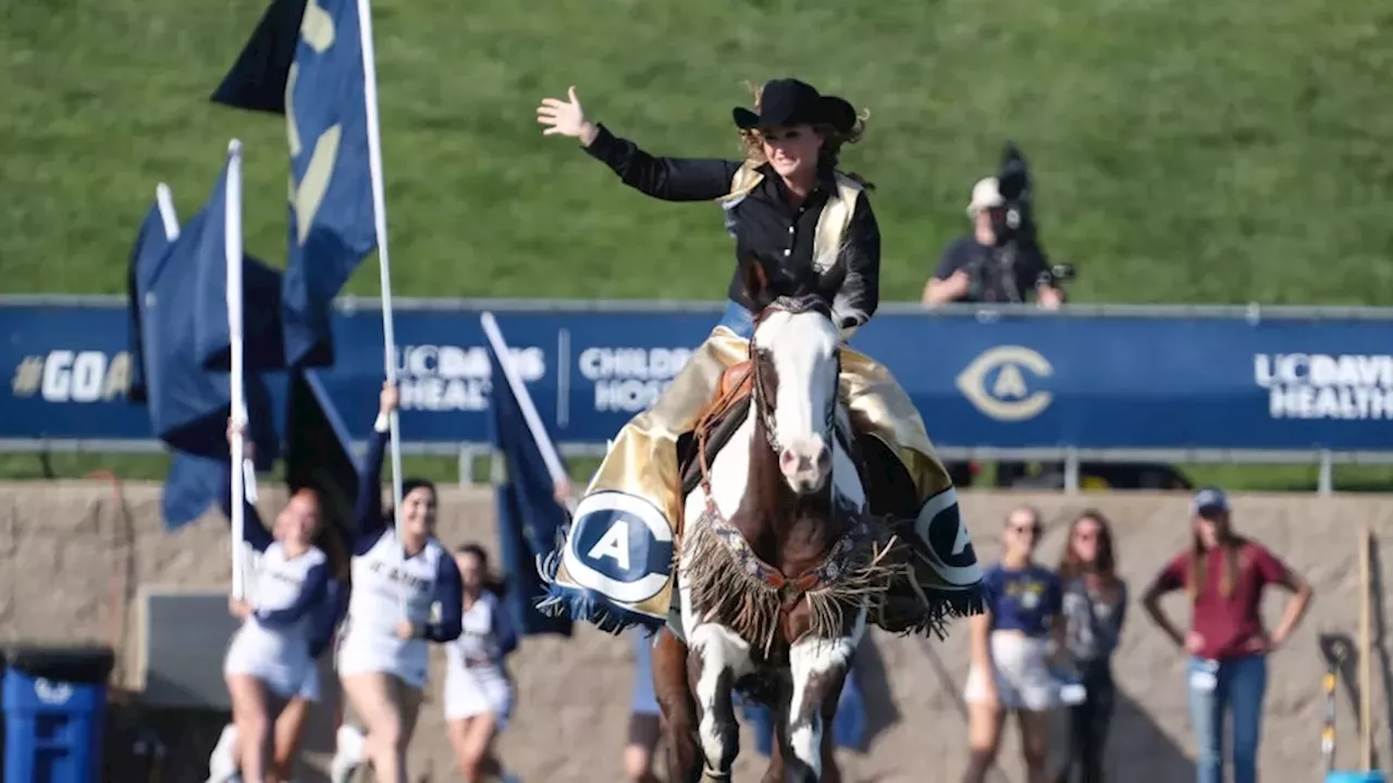 UC Davis Equestrian Lawsuit: A Mathematical Case for Gender Equity