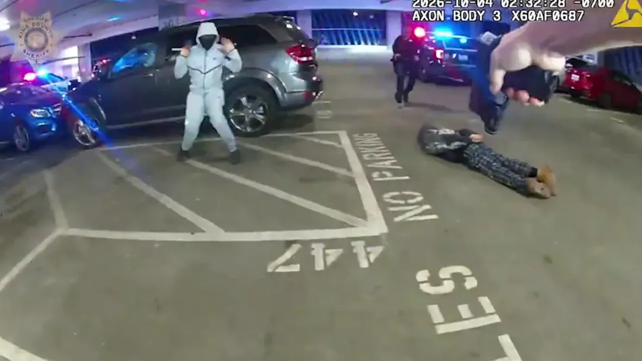 Teen Theft Ring Busted at Angle Lake Transit Station: The Kia and Hyundai Target