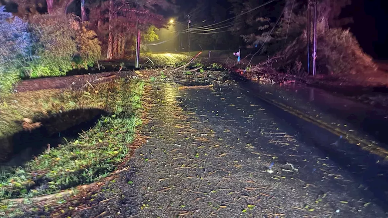 Alabama Grid Under Siege: 300,000 Left in the Dark by Hurricane Isaias