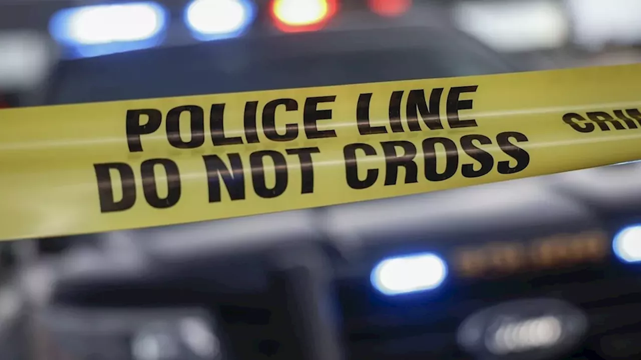 Bolt-Cutter Assault: 21-Year-Old Charged in Calgary Carjacking Spree