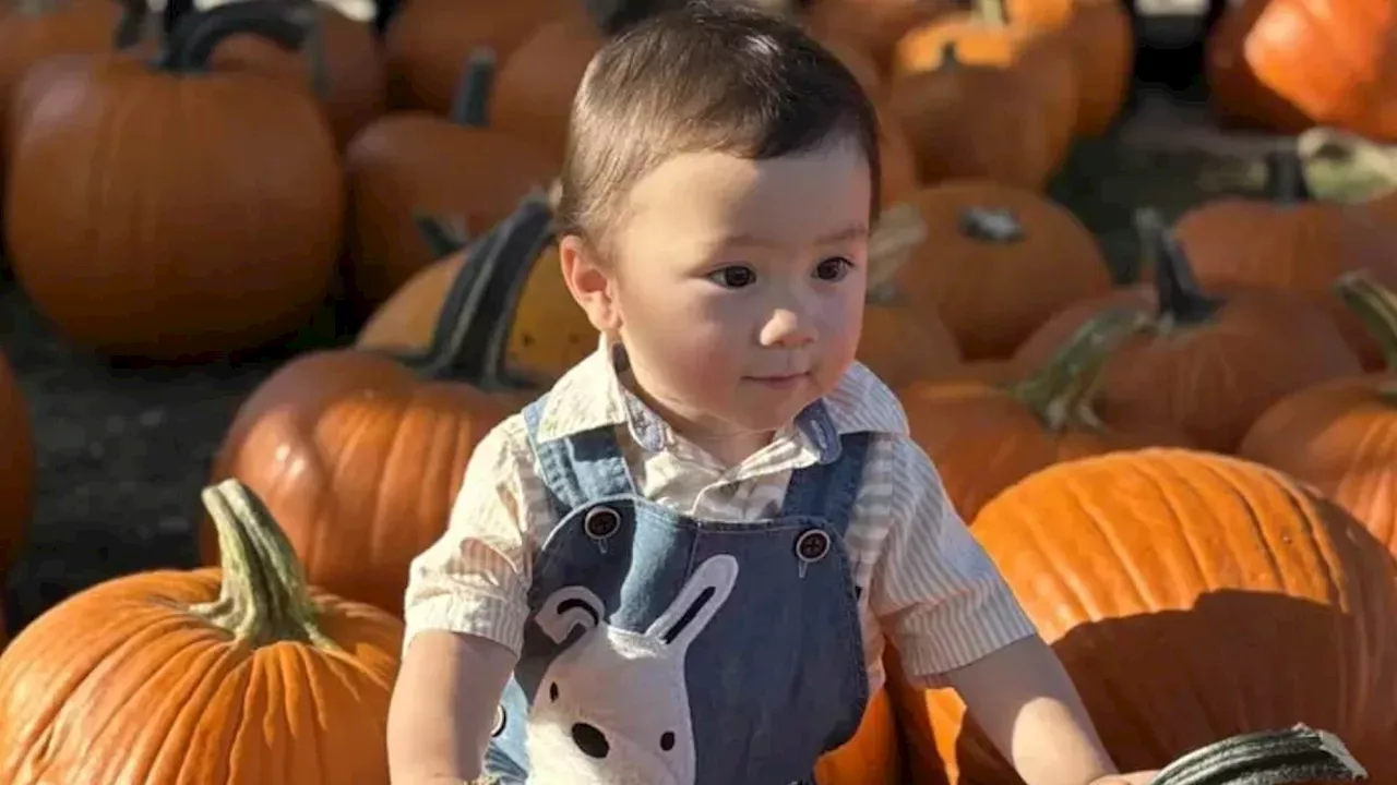 Tragedy at Bullock Farms: New Jersey Family Mourns Toddler Killed in Parking Lot Accident