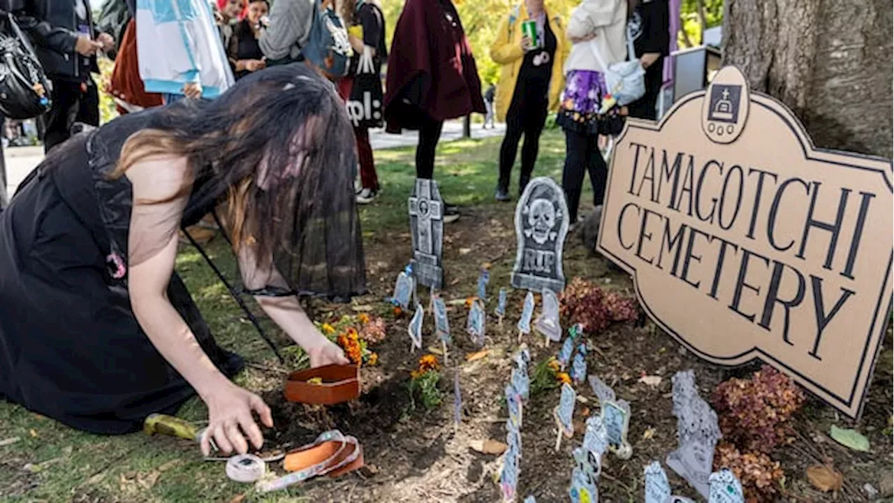 Mourning the Pixel: Toronto's Absurdist Farewell to the Tamagotchi