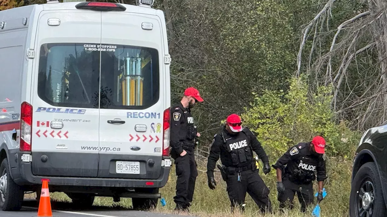 Three Vehicles, One Fatal Hit-and-Run: The Search for Justice on Pine Valley Drive