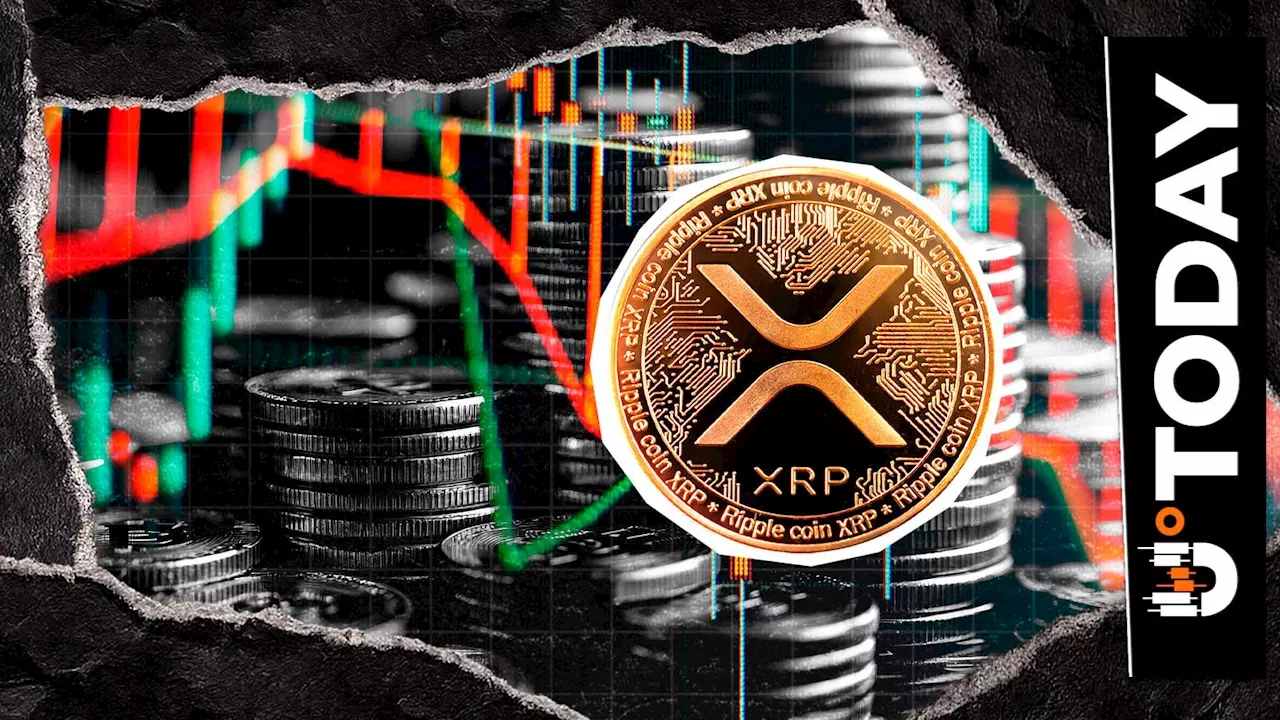 XRP's 27% Price Slide Triggers a Shift in Whale vs. Retail Trading Dynamics