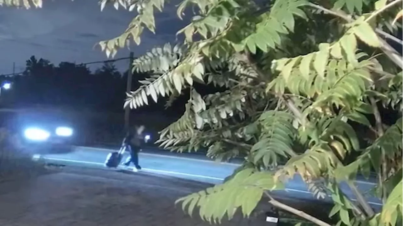 The Search for Three Drivers in the Fatal Vaughan Hit-and-Run