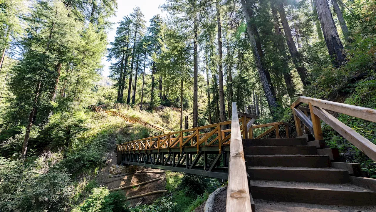 From Fire Command Post to Tourist Haven: The Reopening of Pfeiffer Big Sur