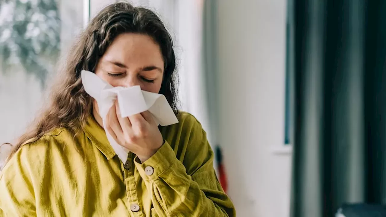 Canada's Early Flu Arrival: Why the 14-Day Immunity Gap Matters