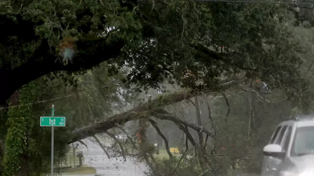 Isaias Slams the Gulf Coast: Power Outages and Flash Floods Grip Florida and Alabama