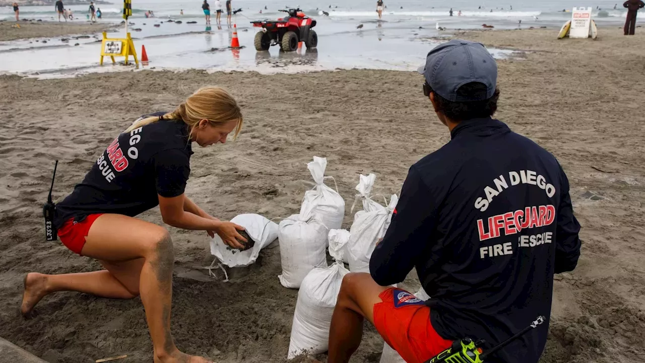 San Diego's Coastal Defense: Sandbags and Volunteers vs. Tropical Storm Rachel