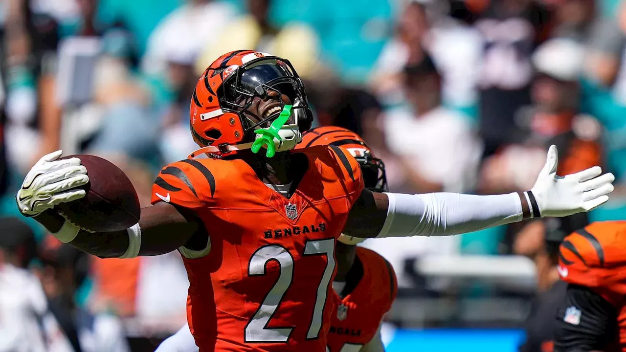 Bengals Crush Dolphins as Jordan Battle Finds Redemption