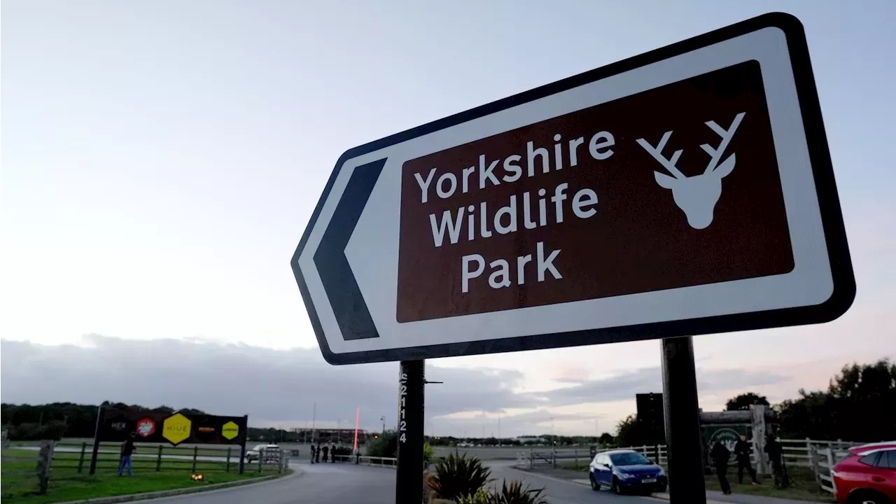 Tragedy in Doncaster: The Fatal Breach of the Land of the Tigers