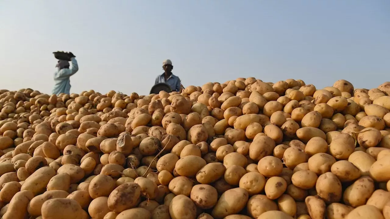 McCain Foods Bets Big on India with Falcon Agrifriz Acquisition