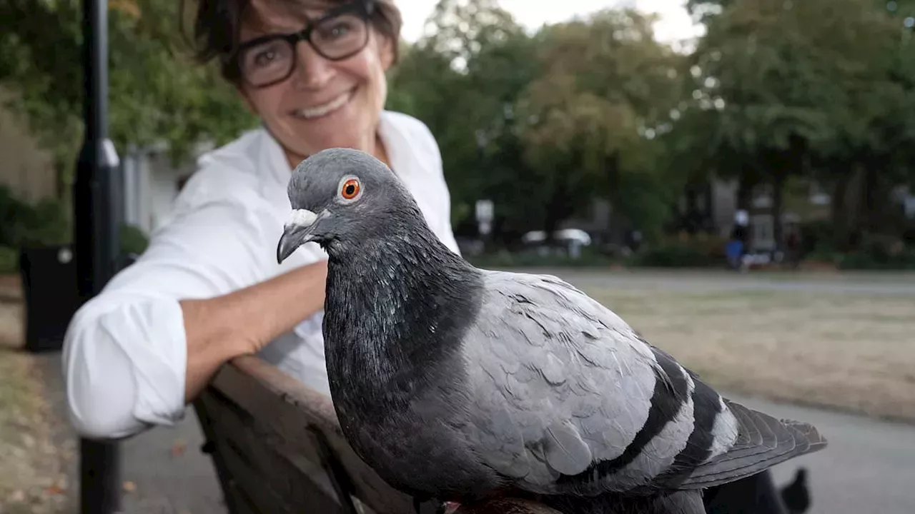 The Park Bench Surgeons Fighting London's "String Foot" Epidemic