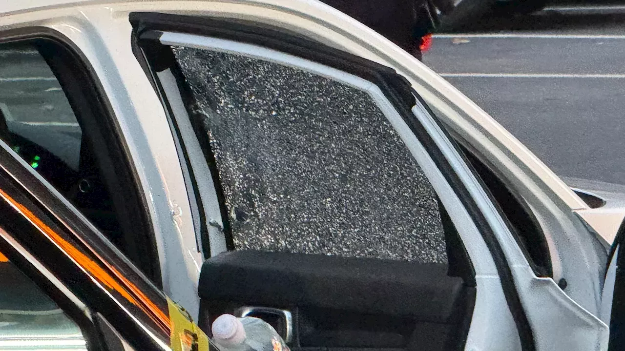 Randomness of Violence: Toddler and Man Wounded in Bronx Daylight Shooting