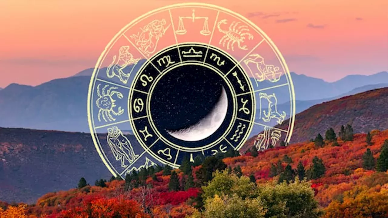 Weekly Horoscope: Social Connections Strengthen as Pluto Turns Direct