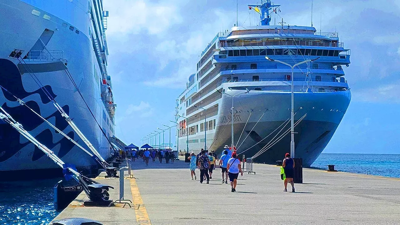 Princess Cruises Hikes Package Rates: The Cost of Convenience on the High Seas