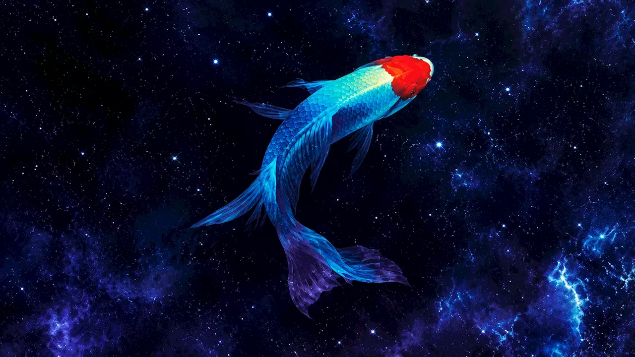 Science, Sorcery, and Humanity: The New Age of Genre‑Blending Fiction