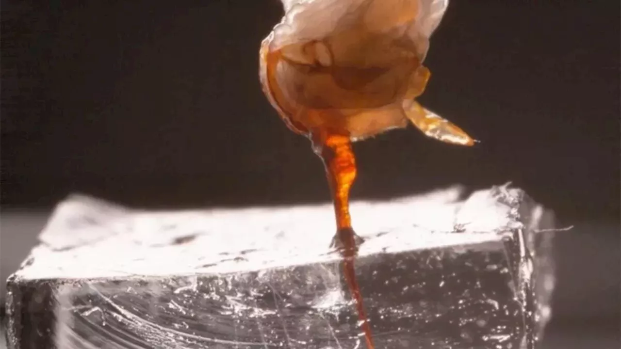 The Micro-Mechanical Secret of the Bee Stinger