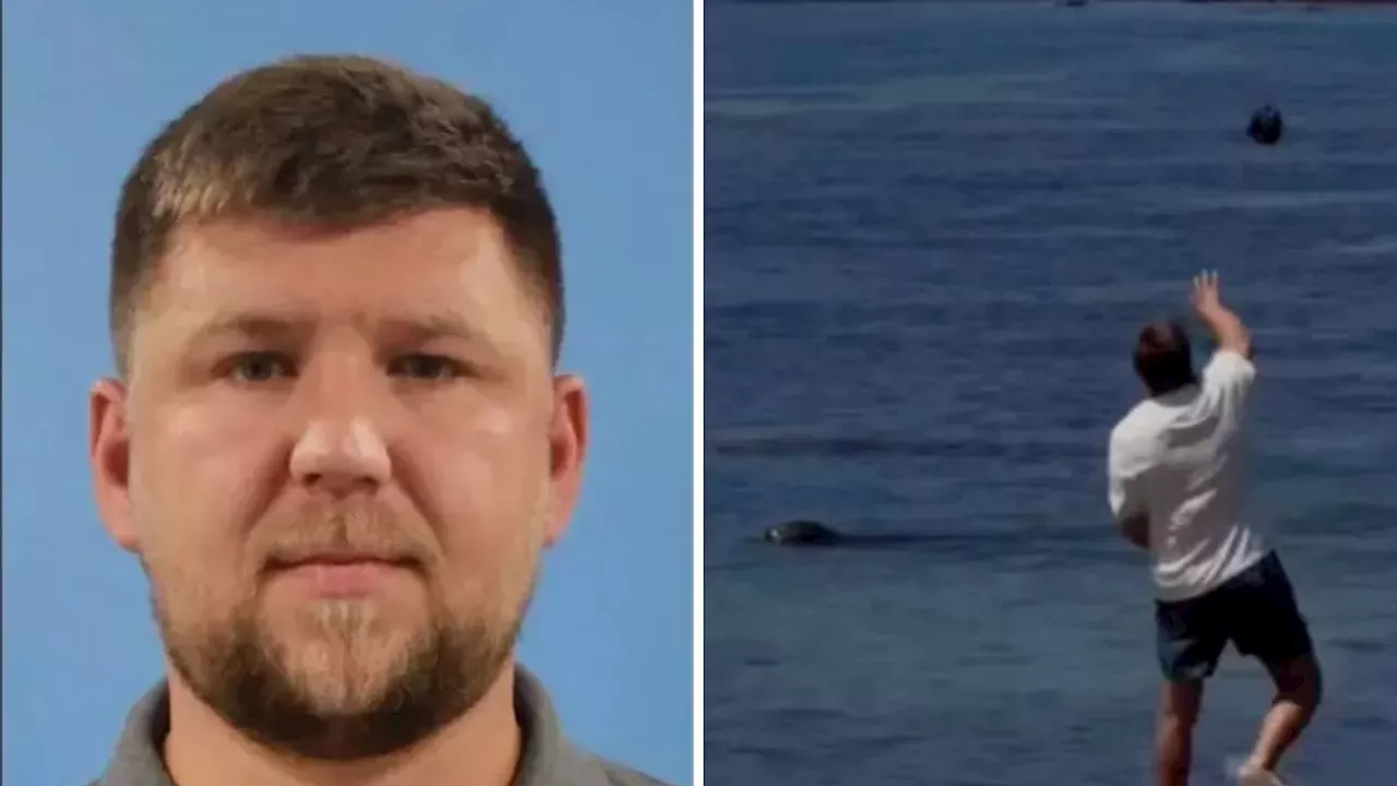 The 'Rich Enough' Defense: Tourist Seeks Delta Records in Monk Seal Attack Case