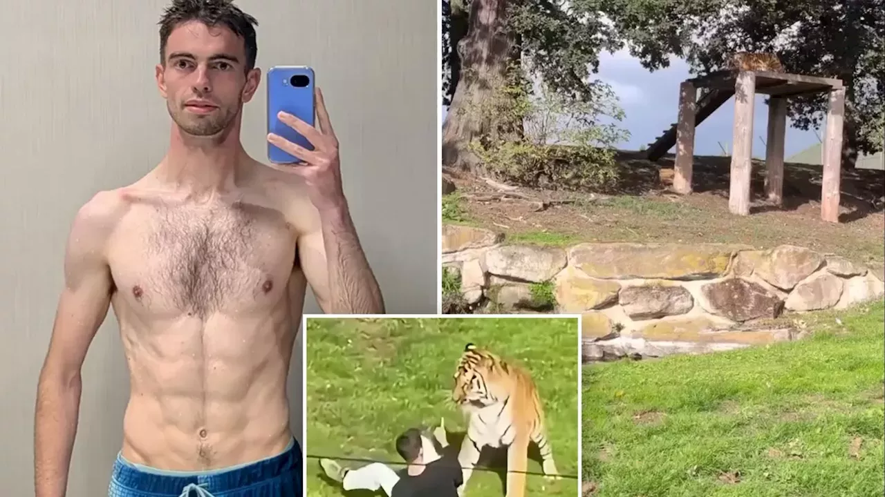 The Fatal Instagram Post: Inside the Yorkshire Wildlife Park Tiger Attack