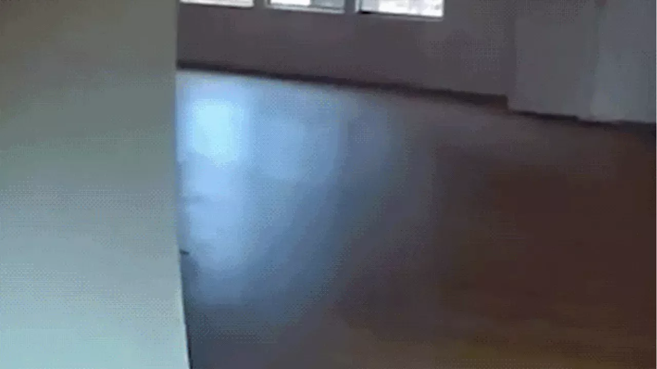 The Stuntman's Fatal Error: How a Broken Window Caught a Copper Thief