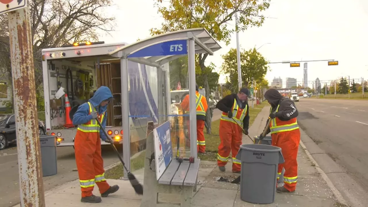 Street Race Tragedy: Edmonton Bus Shelter Crash Leaves One Dead, Infant Critical
