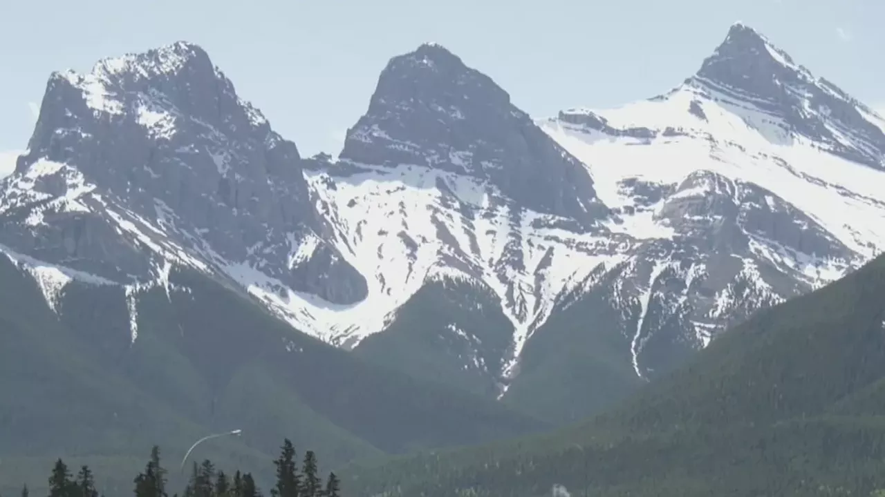 Canmore's Fatal Off-Leash Encounter: Legal Fallout After Golden Retriever Kills Mule Deer