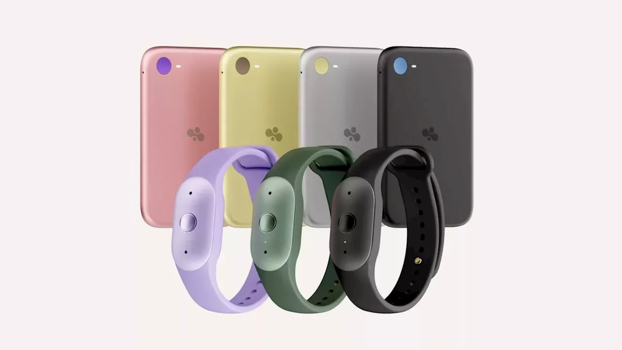 Amazon’s Bee Brand Launch: Can Wearable AI Move Beyond the Smartphone?