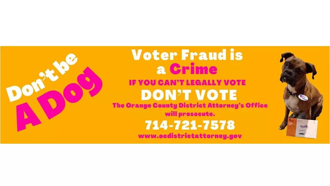 The Dog Who Voted: California Woman's $1,500 Lesson in Election Fraud