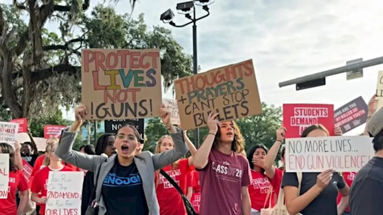 Democrat Senators Push Gun Control After Oregon School Shooting Stopped by Armed Bystander