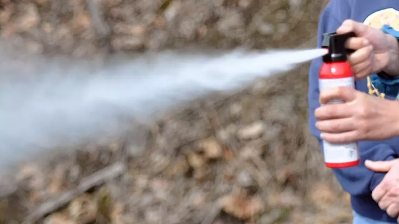 Bear Spray Attack at Nanaimo High School: A Dangerous Misuse of Wildlife Deterrent