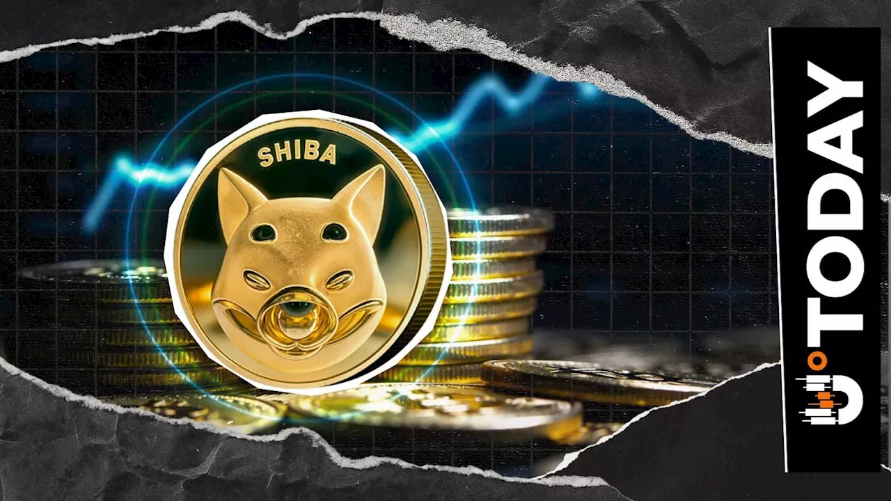 SHIB's 78 Billion Token Shift: Can Shiba Inu Break the 'Uptober' Slump?