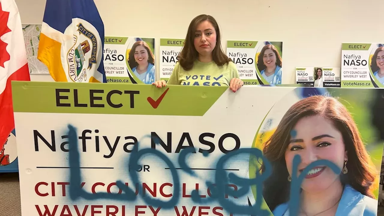 Winnipeg's Election Sign Crisis: More Than Just Petty Vandalism