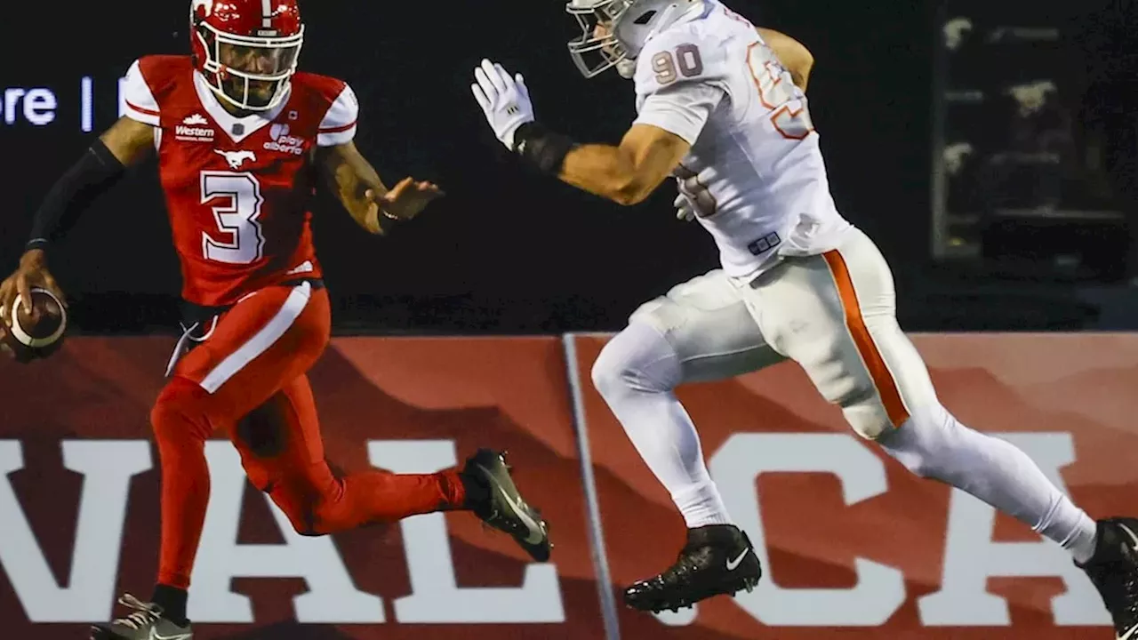 Playoff Desperation vs. Momentum: Stampeders Face Lions in Season Finale