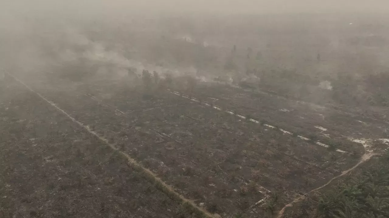 Singapore Targets Corporate Polluters as Indonesian Fires Claim Four Lives