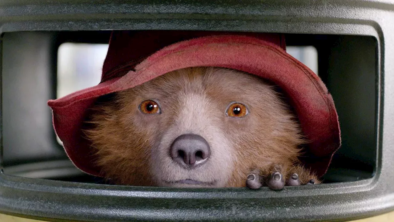Paddington's 4K Upgrade: Lionsgate Targets Collectors with New Steelbook