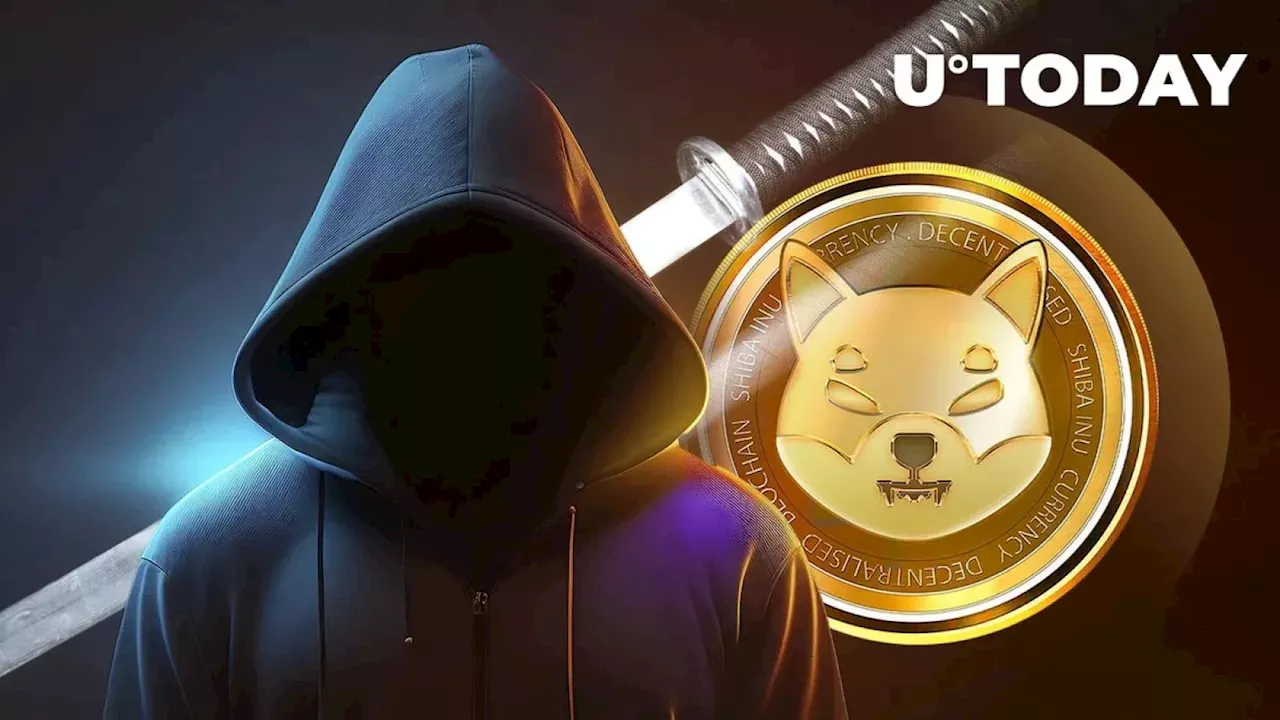 The Ghost of Shiba Inu: Why User ID Changes Suggest Ryoshi is Gone