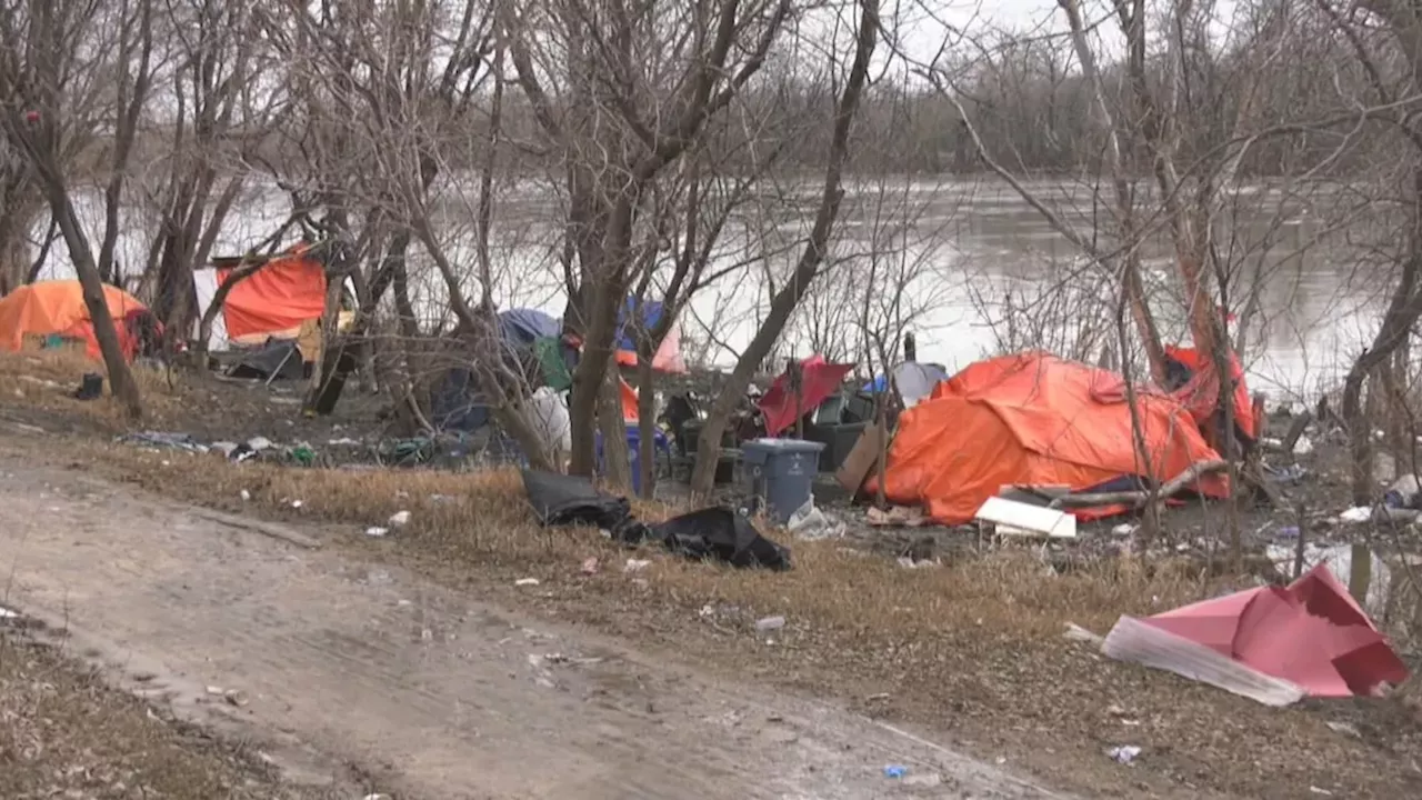 Winnipeg's Homelessness Data Crash: From 4,400 to 436