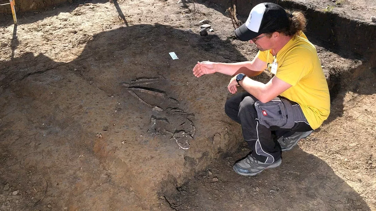 7,000-year-old grave found at Leipzig school construction site