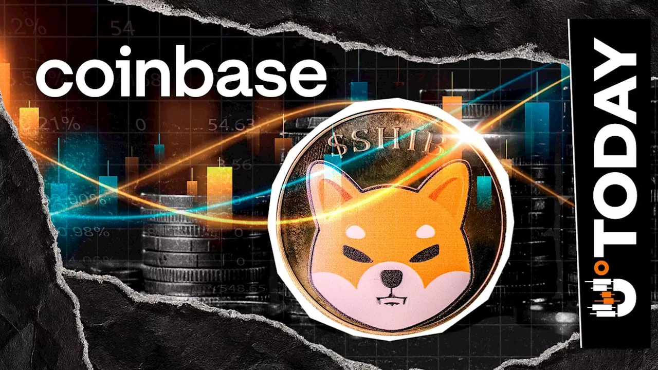 Coinbase's 152 Million SHIB Burn: Strategic Move or Fee Fallout?