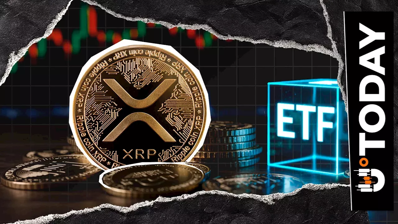 The End of the 13-Week Inflow Streak: Decoding the XRP ETF Reversal