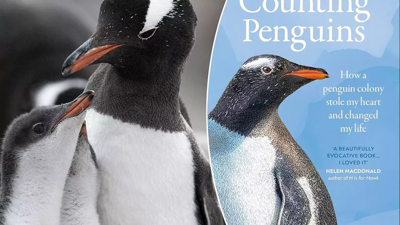 A Travel Writer's Transformation in the Antarctic