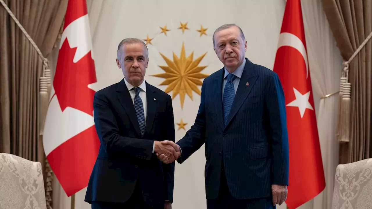 Carney’s Ankara Gambit: Navigating Turkey’s 'Variable Geometry' Diplomacy