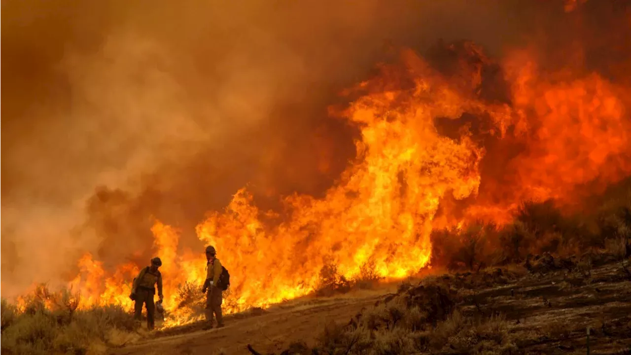 The El Niño Divide: Northern Rockies Bracing for Fire as Southwest Finds Relief