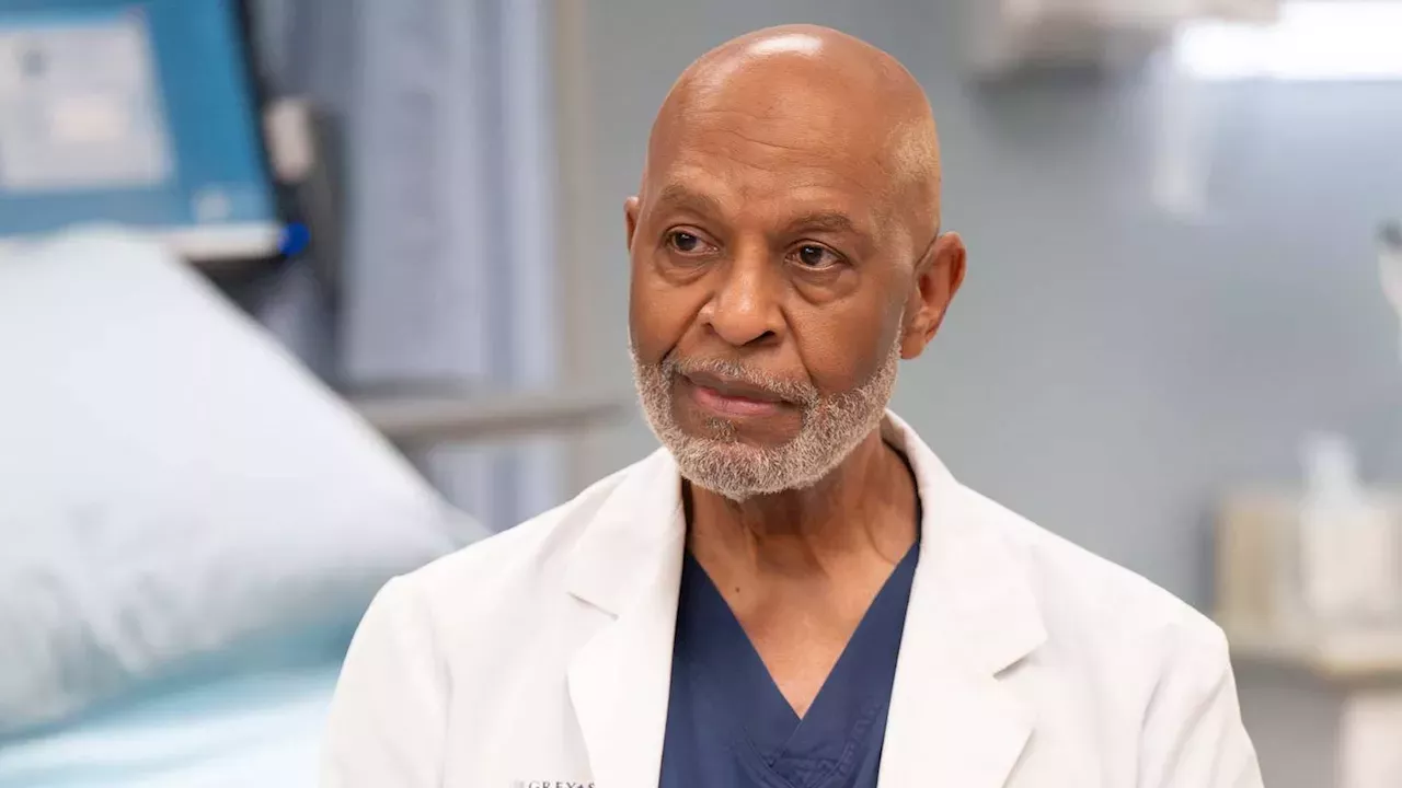 Grey's Anatomy Season 23: Can Meredith Grey Protect Grey Sloan from Seth Norton's Corporate Shift?
