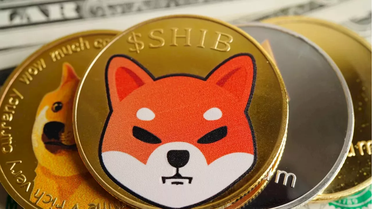 Shiba Inu's 200% Surge: Why $35,000 in Inflows Can't Hide the Truth