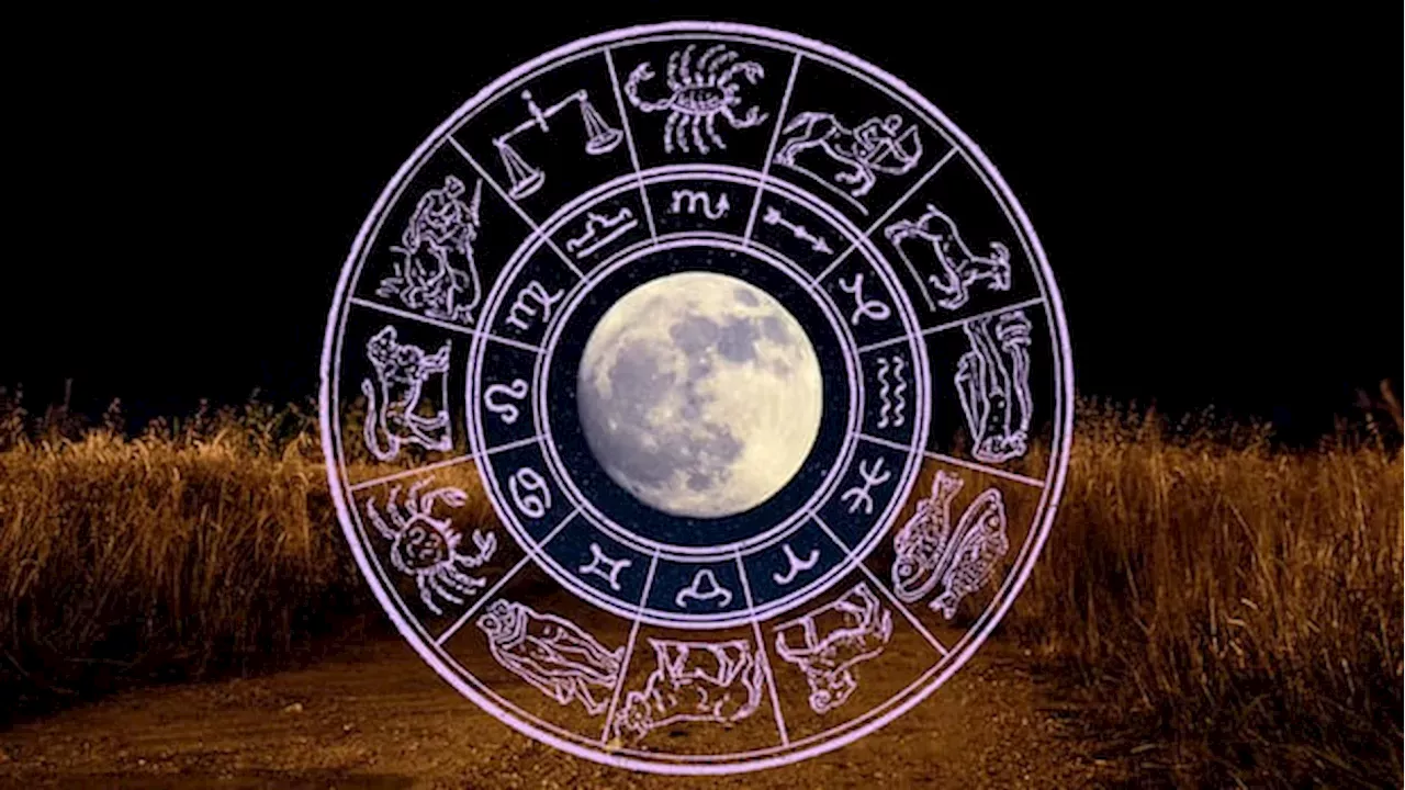 Scorpio’s Shadow: Navigating the Month of Emotional Reckoning and Mercury Retrograde
